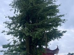 -影珠山
