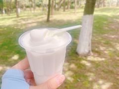 酸奶冰淇淋-白色日记·手作酸奶(麦凯乐店)