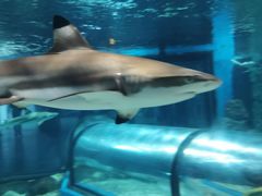 -福州罗源湾海洋世界旅游区