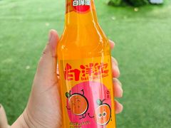 -白洋淀景区