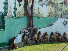 -西霞口神雕山野生动物世界