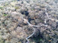 -广州市流溪河国家森林公园