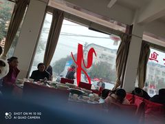 -y牌太安鱼