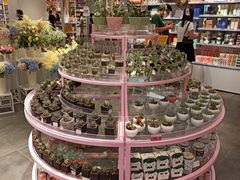 -KKV(深圳宏发大仟里店)