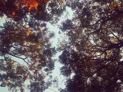 -苏州河梦清园环保主题公园