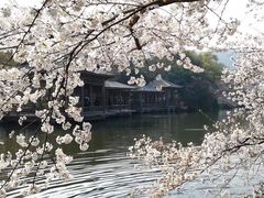 -西湖外事游船(花港观鱼码头)