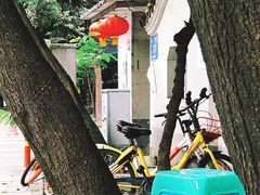 -纯阳馆鱼香排骨面(东二道街店)