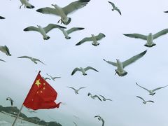 -海驴岛(荣成市)