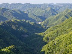 -四明山国家森林公园