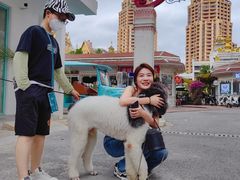 -西双版纳勐泐文化旅游区