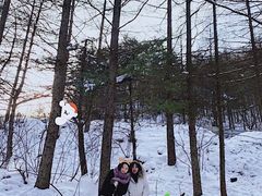-秦岭风景区