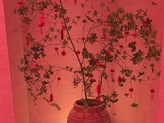-舒小悦·舒养SPA·古法推拿(光环中心店)