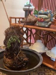 点击看大图 -栖木行空·女子定制美肤·芳香疗愈SPA