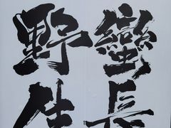 -THE BOX朝外年轻力中心