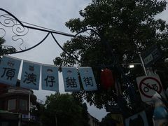 -猫咪博物馆(顶澳仔猫街店)