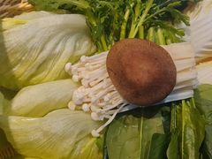 -友乐居羊蝎子(西直门店)