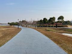 -春花秋色城市公园