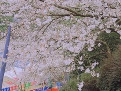 -杭州少年儿童公园