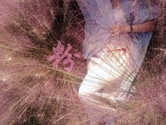 -苏州东太湖生态园