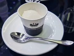 -BLACKSWAN黑天鹅(环球店)