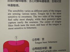 -中国茶叶博物馆(双峰馆区)