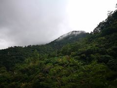 -太鲁阁公园