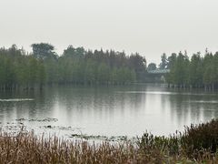 -白鹭湾湿地公园