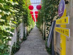 -青果巷历史文化街区