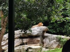 -广州长隆野生动物世界