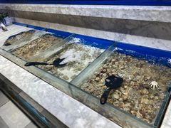 -火锅岛潮牌自助餐厅(天津天佑城店)