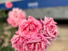-中国铁道博物馆(东郊展馆)