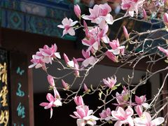 -万寿八仙宫