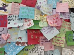 -洗脸猫·洗脸吧(北京大兴大悦春风里店)