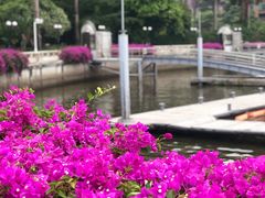 -珠江夜游广州塔·中大码头