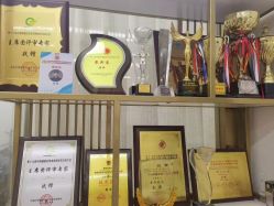 -西施无菌半永久纹绣眉眼影唇轻增发纹发际线