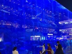 -成都浩海立方海洋公园