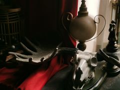 -雪灵魔法世界SHELLY’S TAROT(大良桂畔里店)