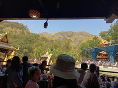 -西双版纳原始森林公园