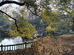 -东湖落雁景区