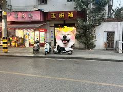 -玉滋補