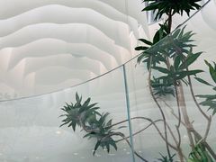 景观位-大树餐厅(朝阳大悦城店)