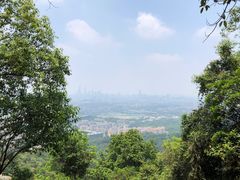 -火炉山森林公园