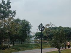 -映月湖公园