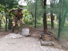 -北海金海湾红树林生态旅游区