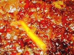 -红鼎坊·老成都火锅(新南门店)