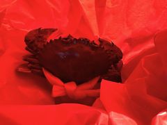 -上海龙吴水胜海发市场