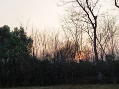 -白鹭湾湿地公园