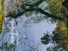 -拙政园