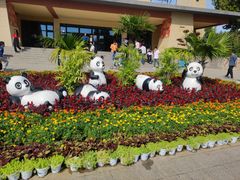 -石家庄市动物园