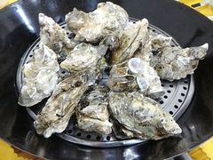 -蚝专家(北滘店)